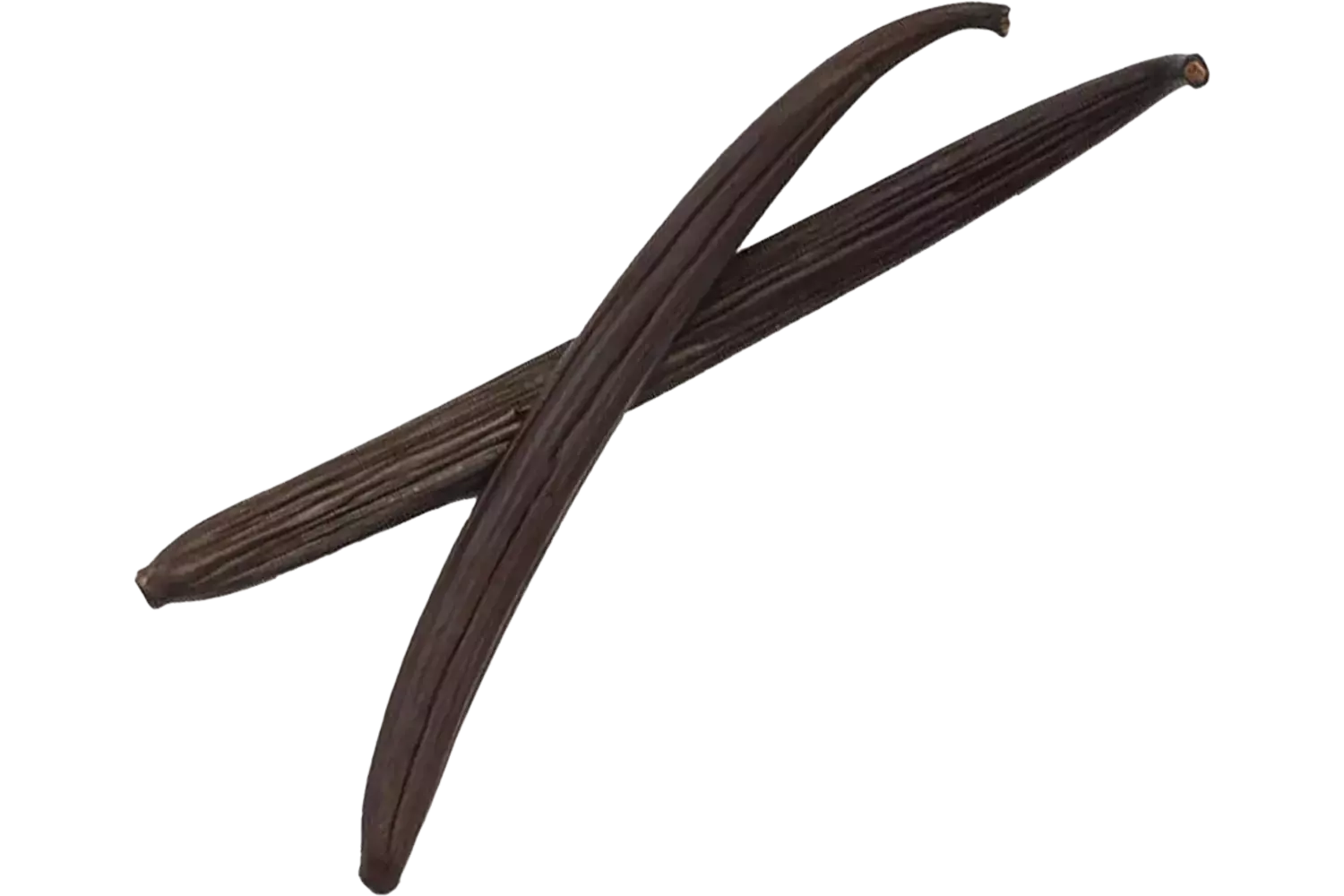 Vanillepeulen planifolia zwart blik 6st stuk 1